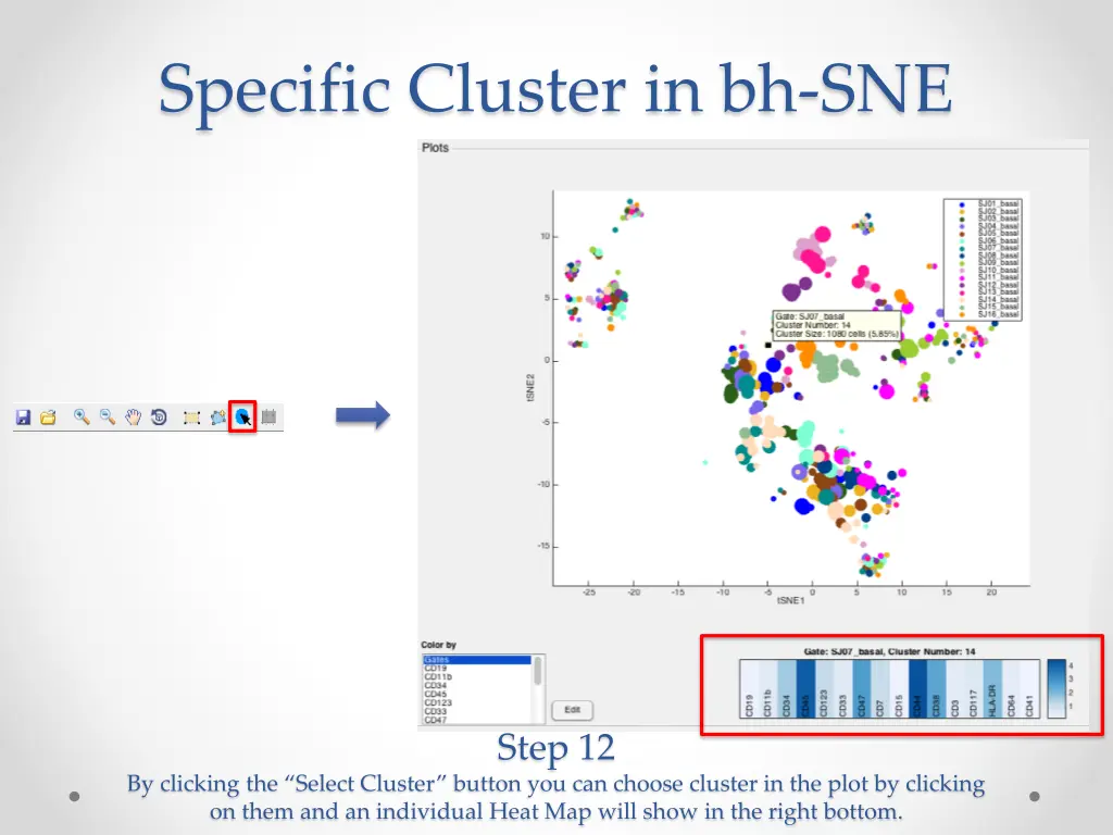 specific cluster in bh sne