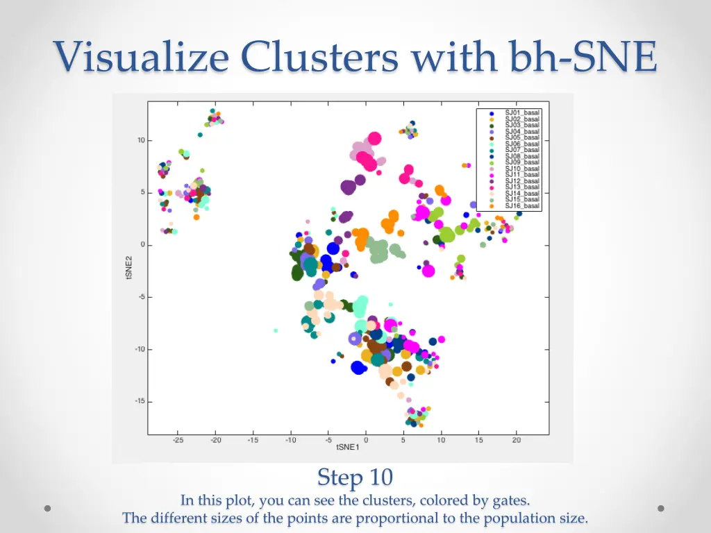 visualize clusters with bh sne 1