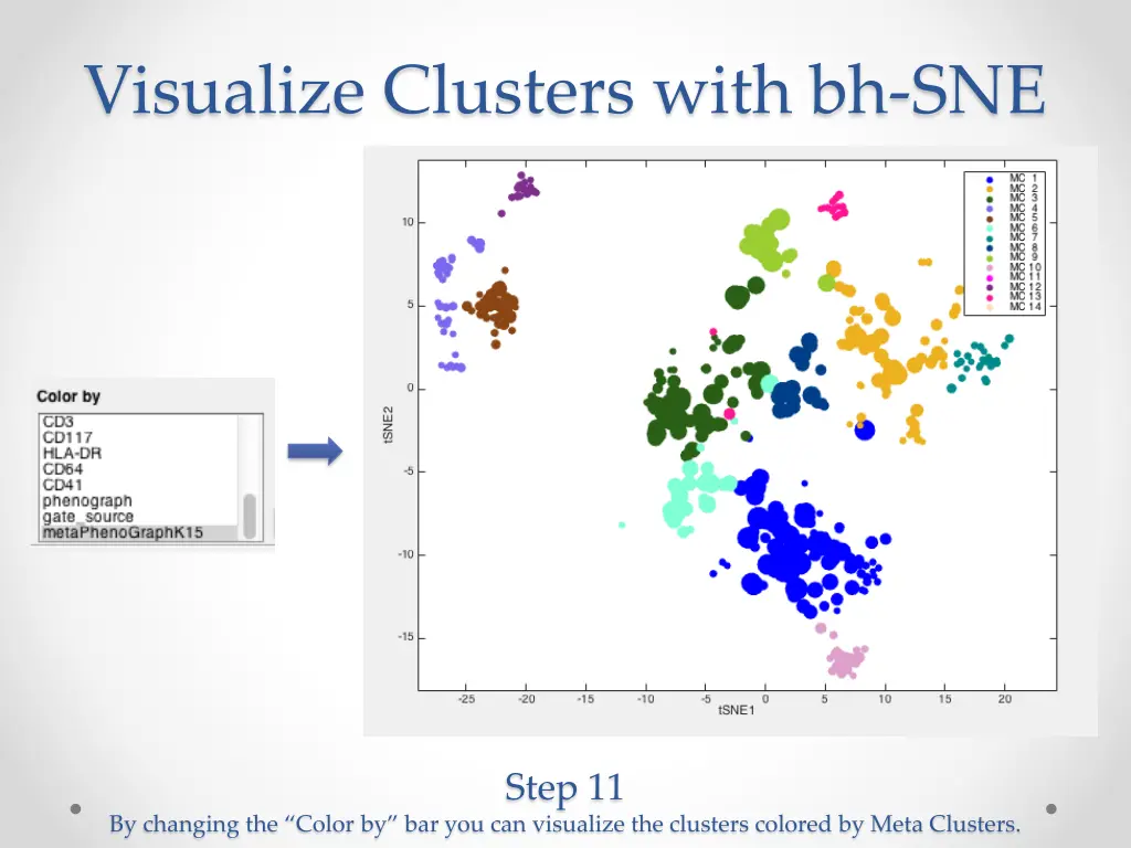 visualize clusters with bh sne 2