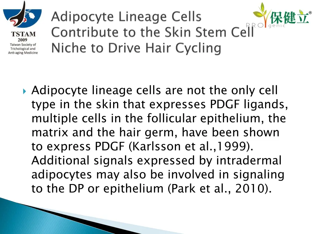 adipocyte lineage cells are not the only cell