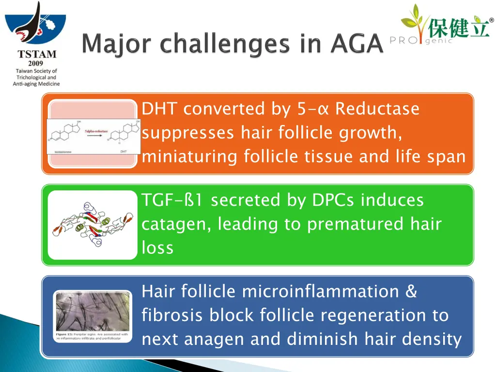 dht converted by 5 reductase suppresses hair