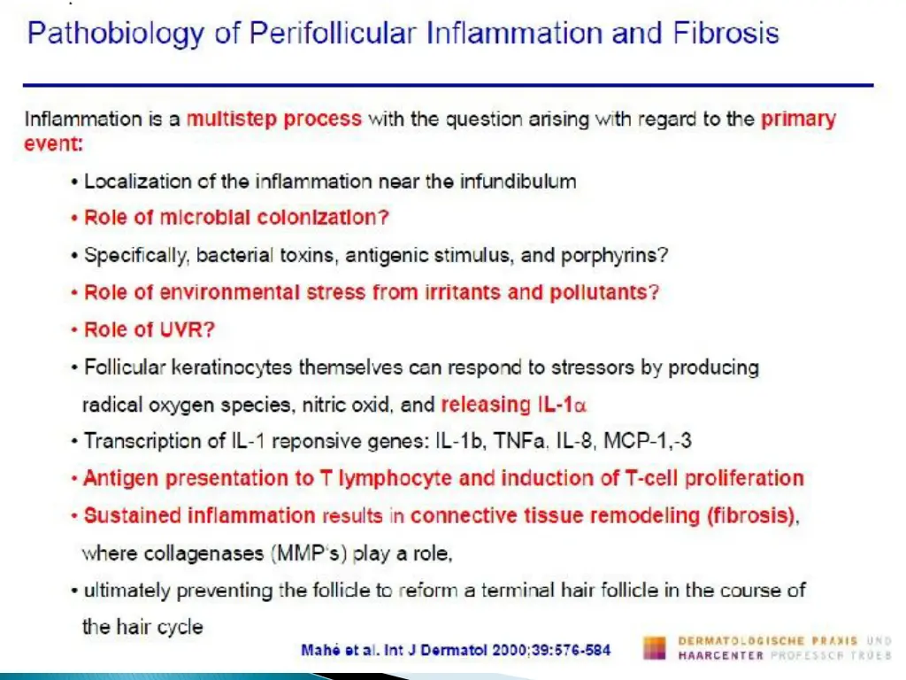 slide16