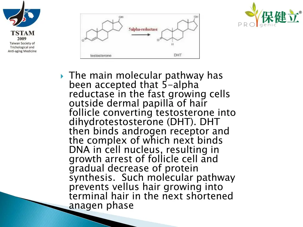 the main molecular pathway has been accepted that