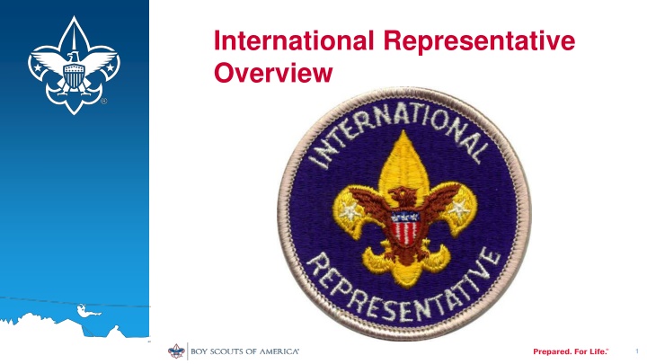 international representative overview