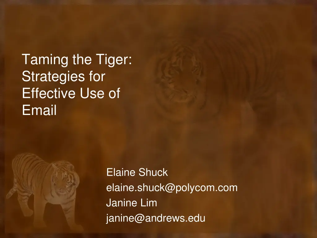 taming the tiger strategies for effective 1