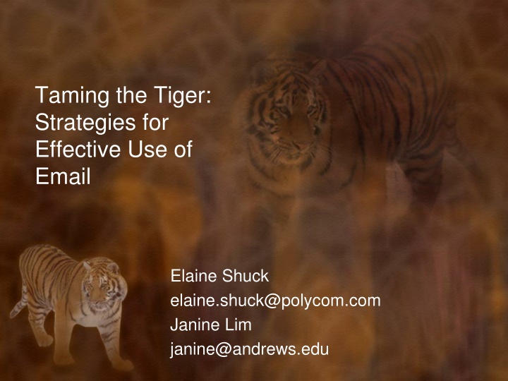 taming the tiger strategies for effective