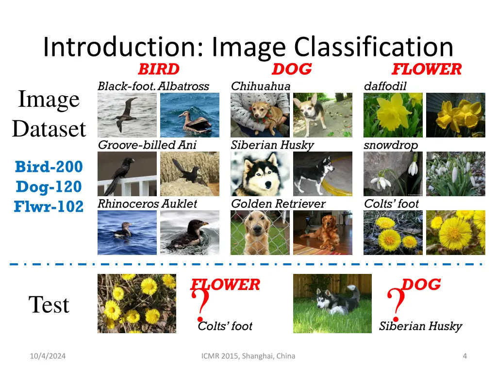 introduction image classification bird black foot