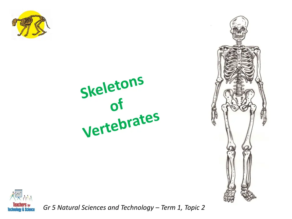 gr 5 natural sciences and technology term 1 topic 1