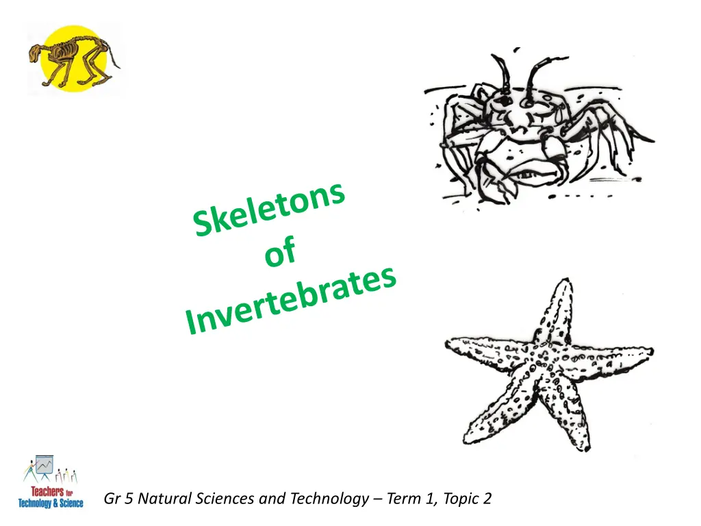 gr 5 natural sciences and technology term 1 topic 2