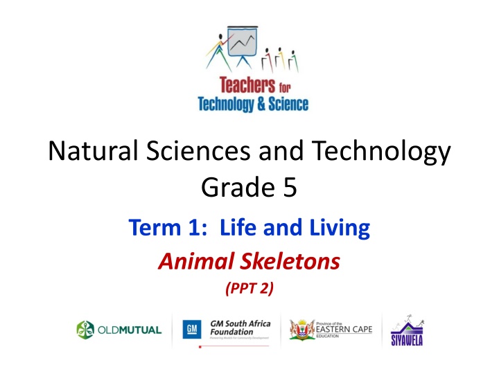 natural sciences and technology grade 5 term