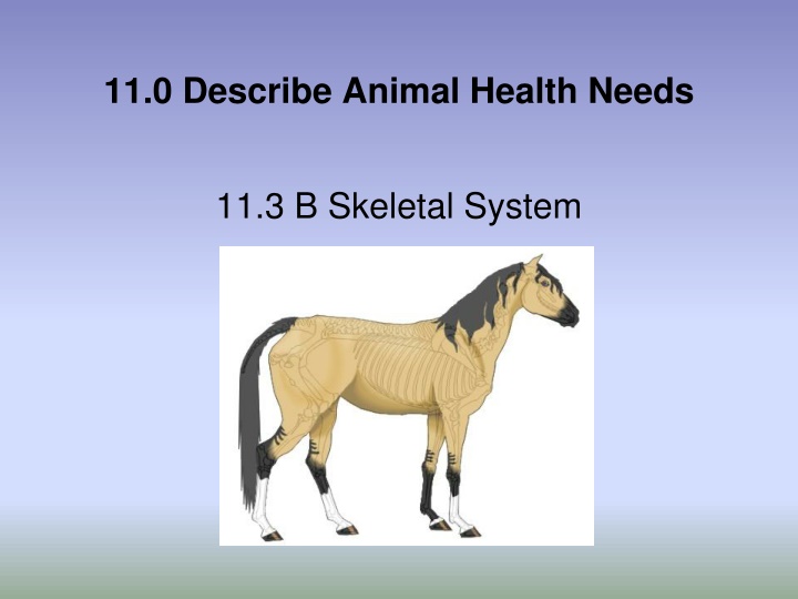 11 0 describe animal health needs