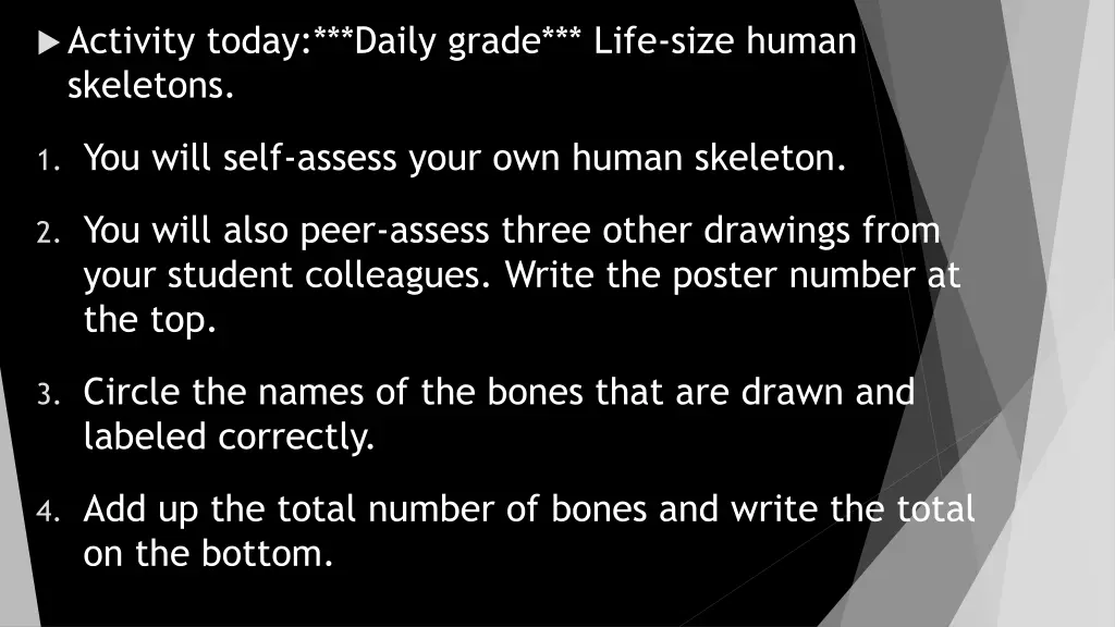 activity today daily grade life size human