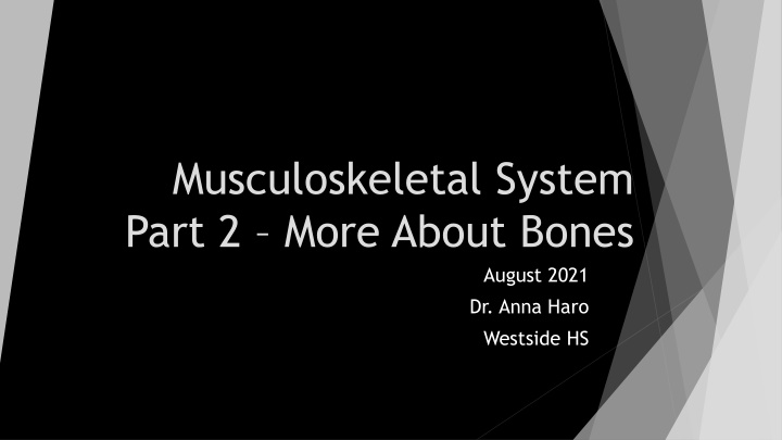 musculoskeletal system part 2 more about bones