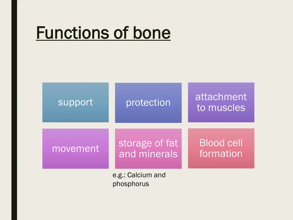 functions of bone functions of bone