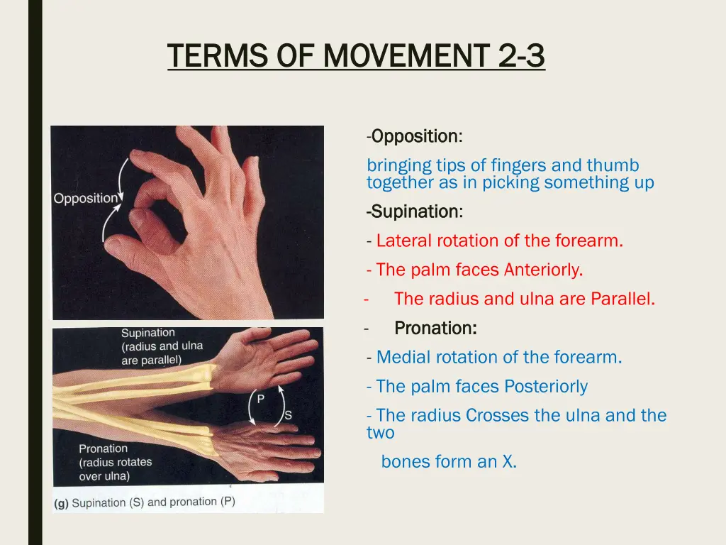 terms of movement terms of movement 2 2 3 3