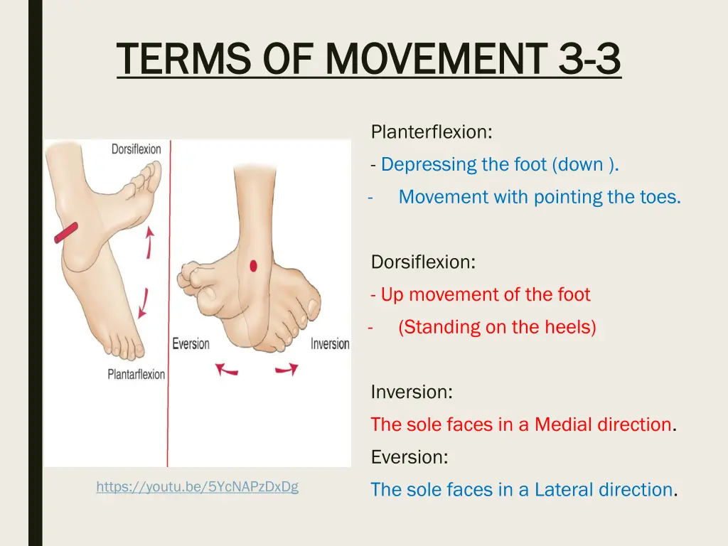 terms of movement terms of movement 3 3 3 3