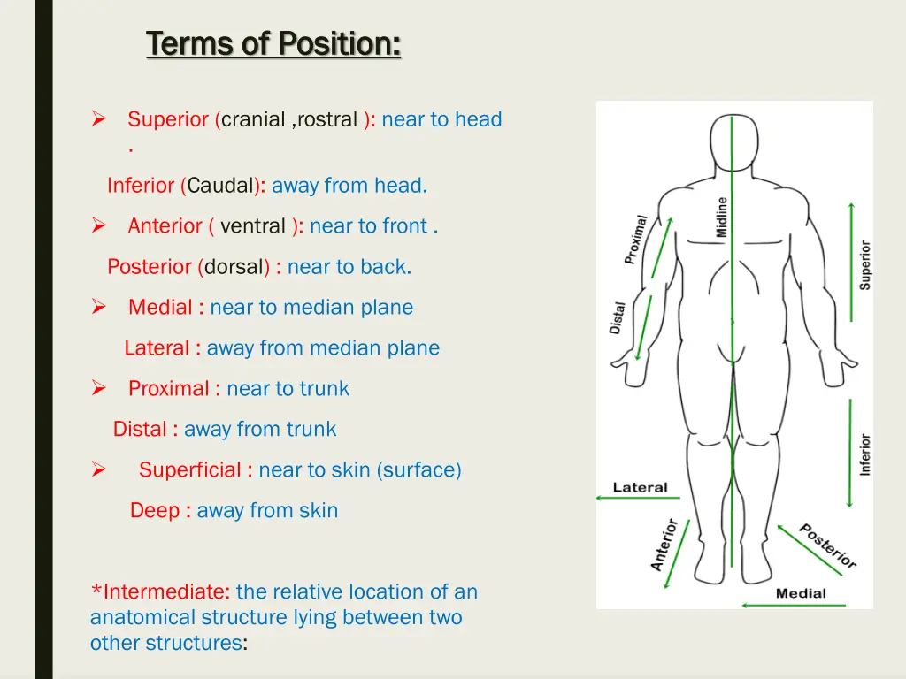 terms of position terms of position