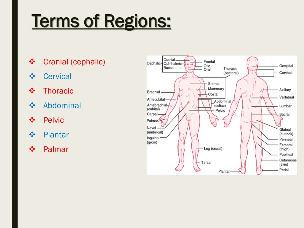 terms of regions terms of regions