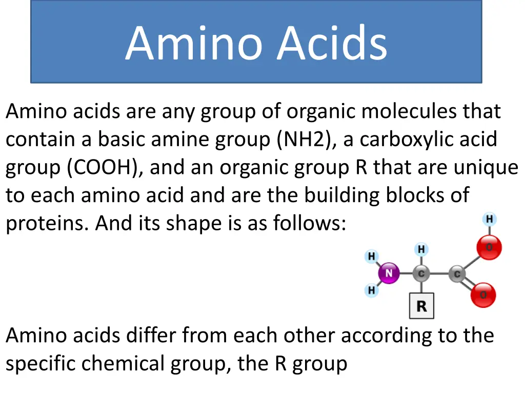 amino acids