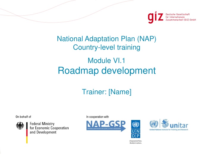 national adaptation plan nap country level