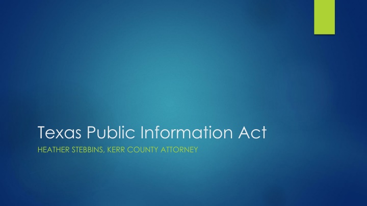 texas public information act heather stebbins