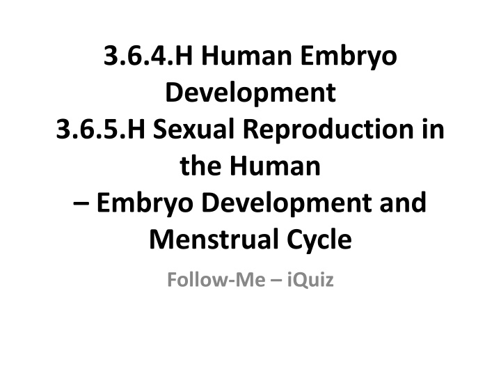 3 6 4 h human embryo development 3 6 5 h sexual