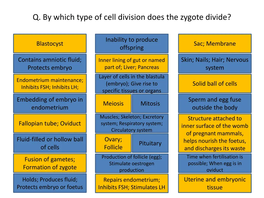 q by which type of cell division does the zygote