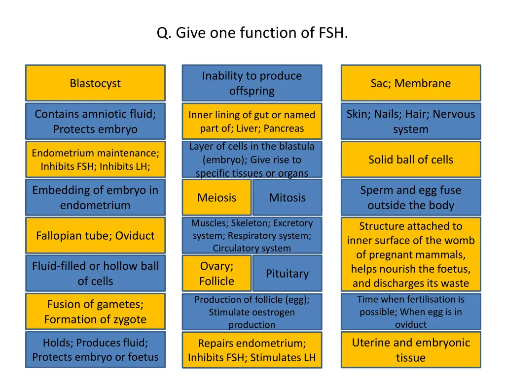 q give one function of fsh