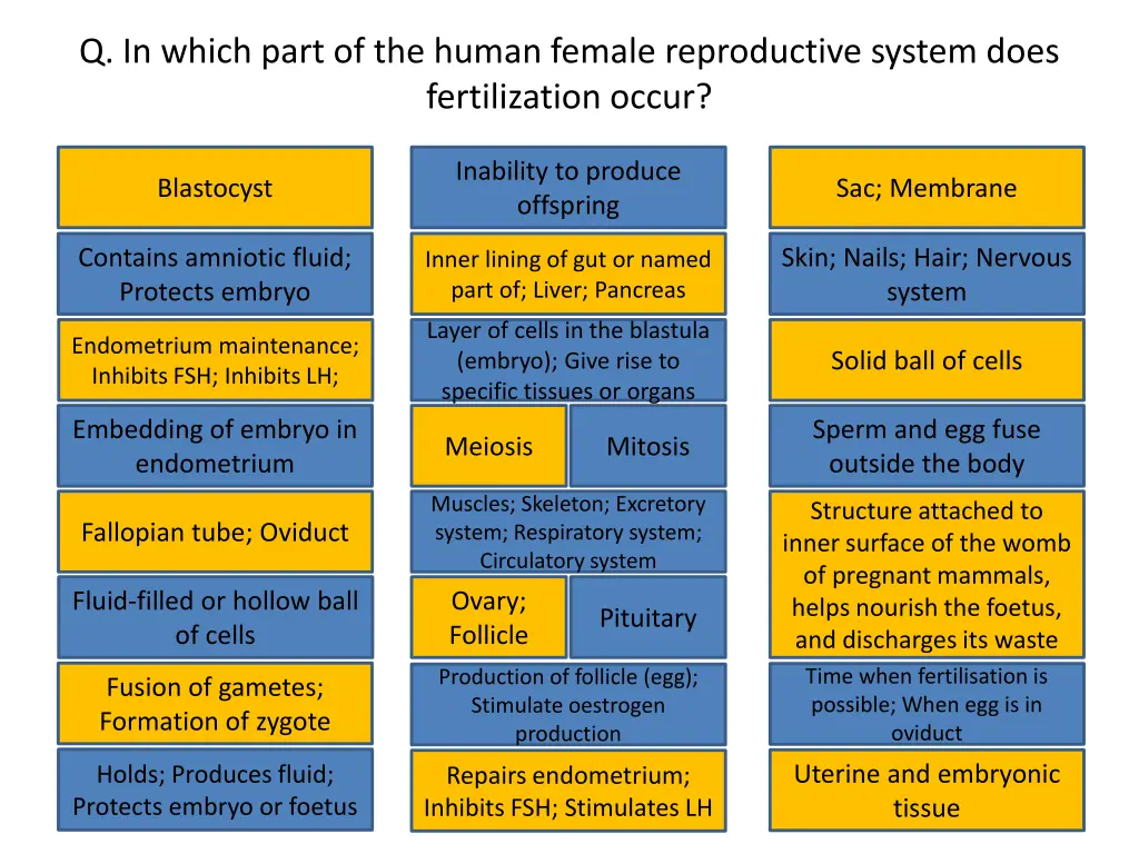 q in which part of the human female reproductive