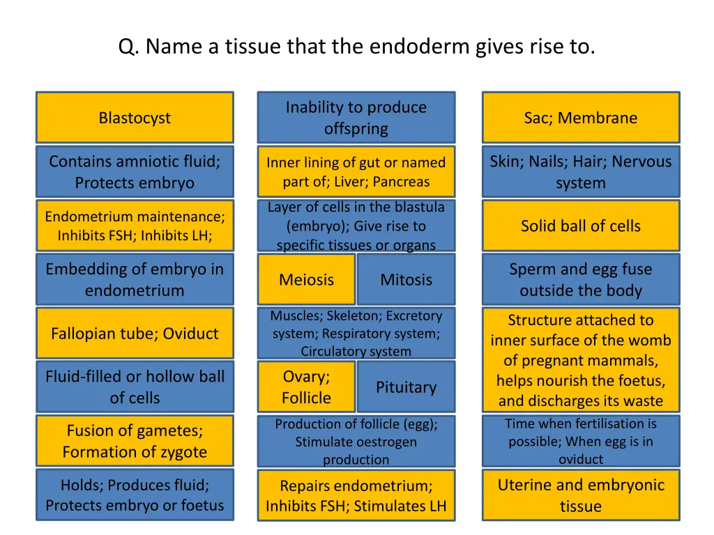 q name a tissue that the endoderm gives rise to