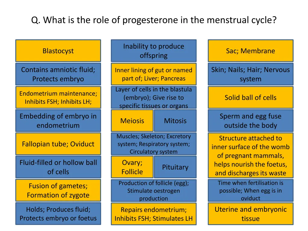 q what is the role of progesterone