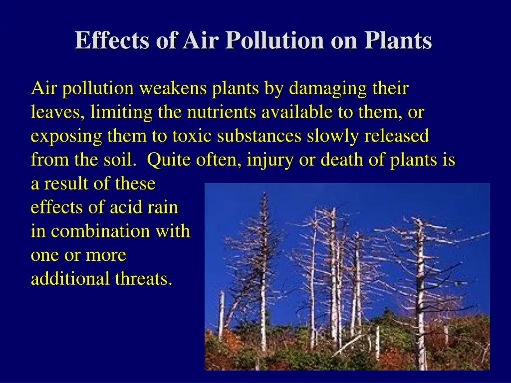 effects of air pollution on plants 1