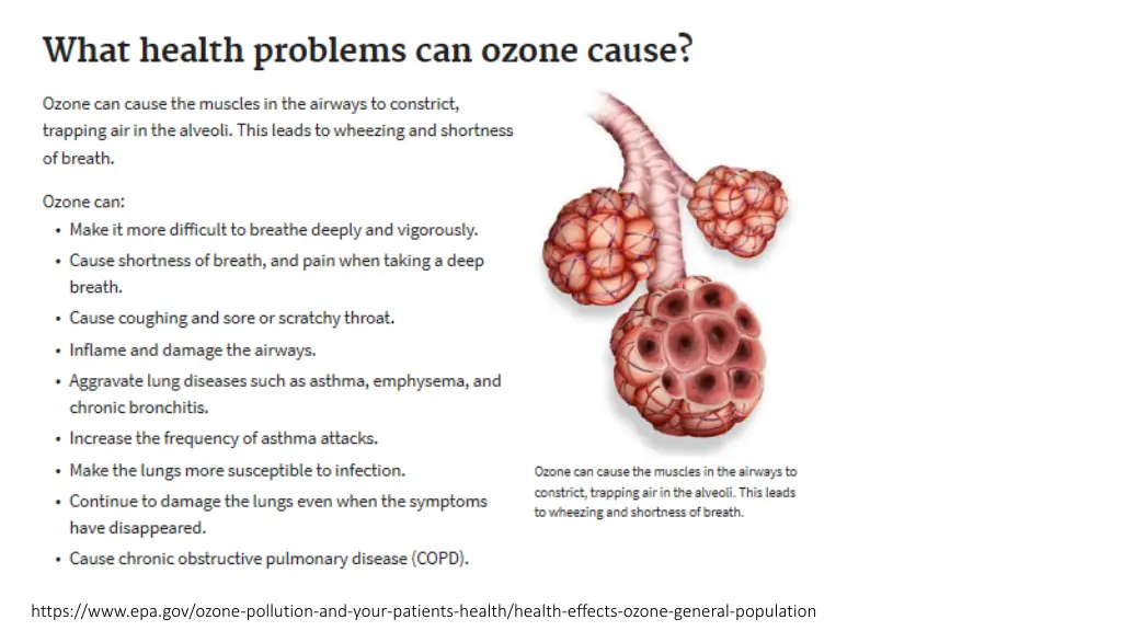 https www epa gov ozone pollution and your