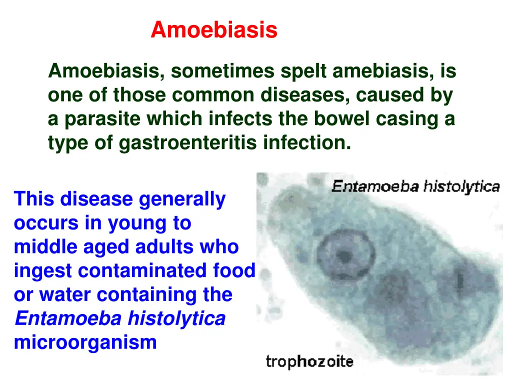 amoebiasis