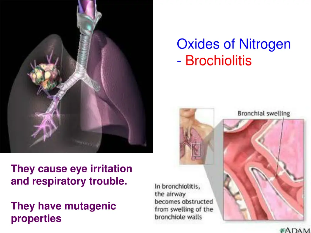 oxides of nitrogen brochiolitis