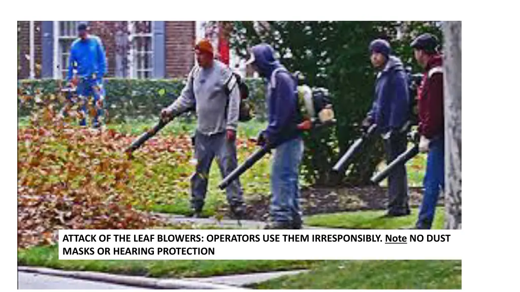 attack of the leaf blowers operators use them