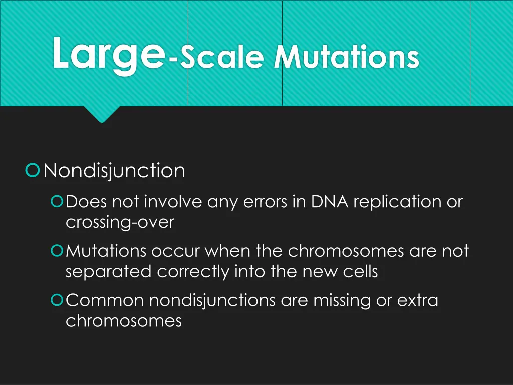 large scale mutations 1