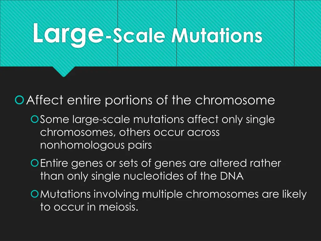 large scale mutations