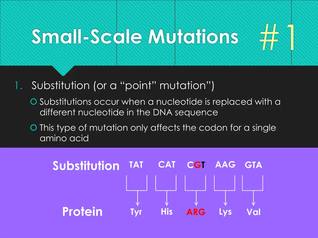 slide6