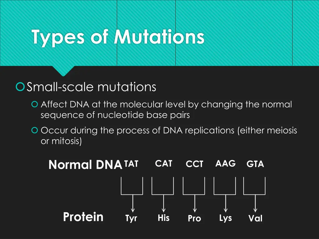 types of mutations