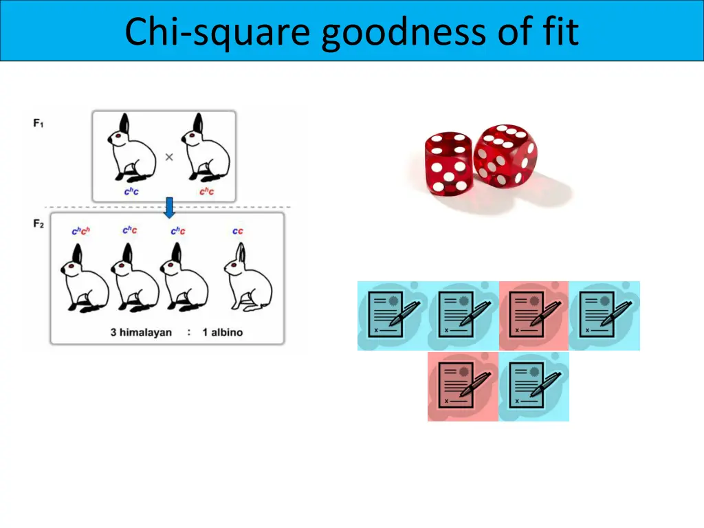 chi square goodness of fit