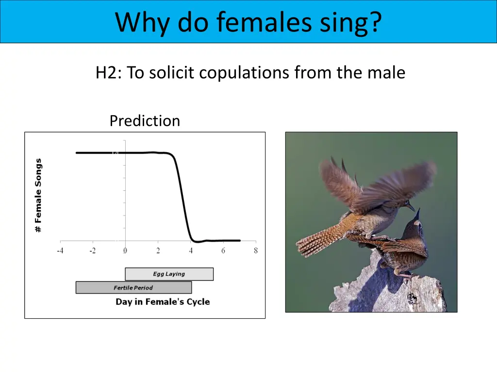 why do females sing 1