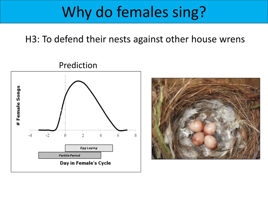 why do females sing 2