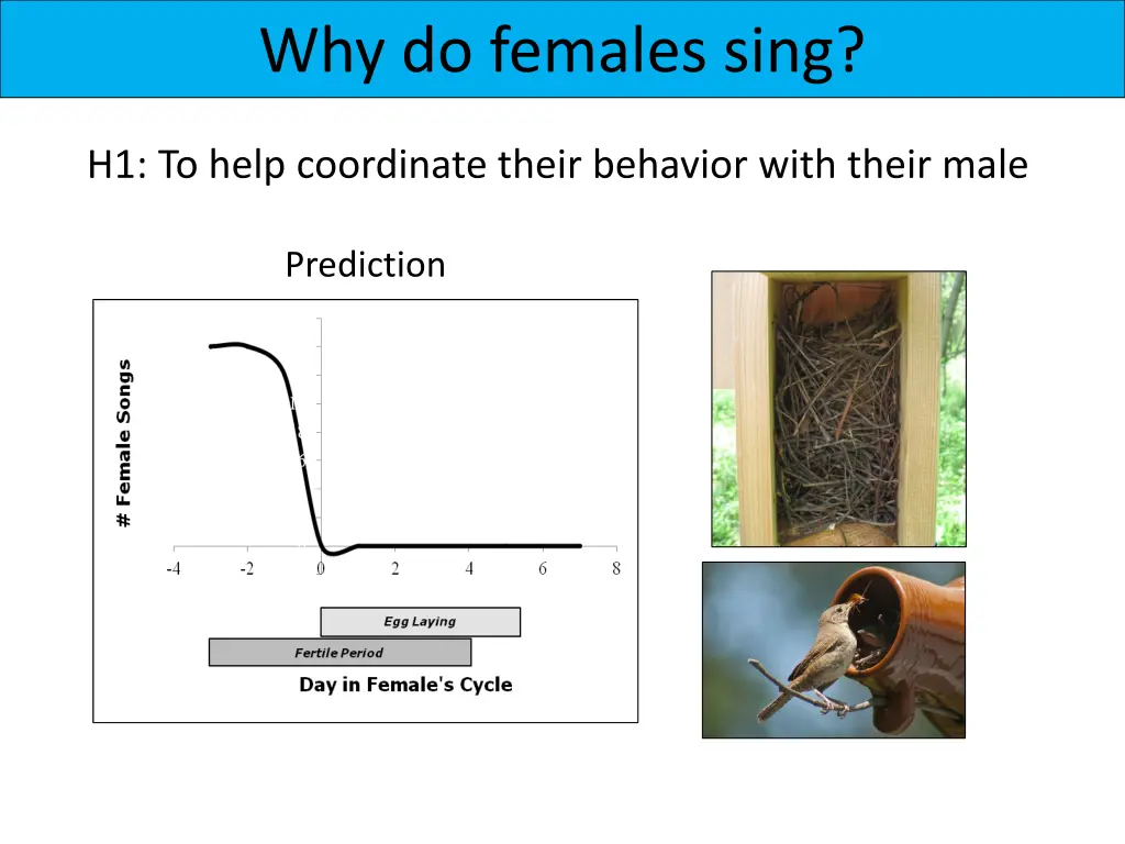 why do females sing