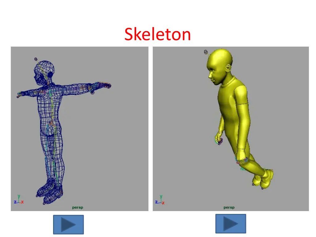 skeleton