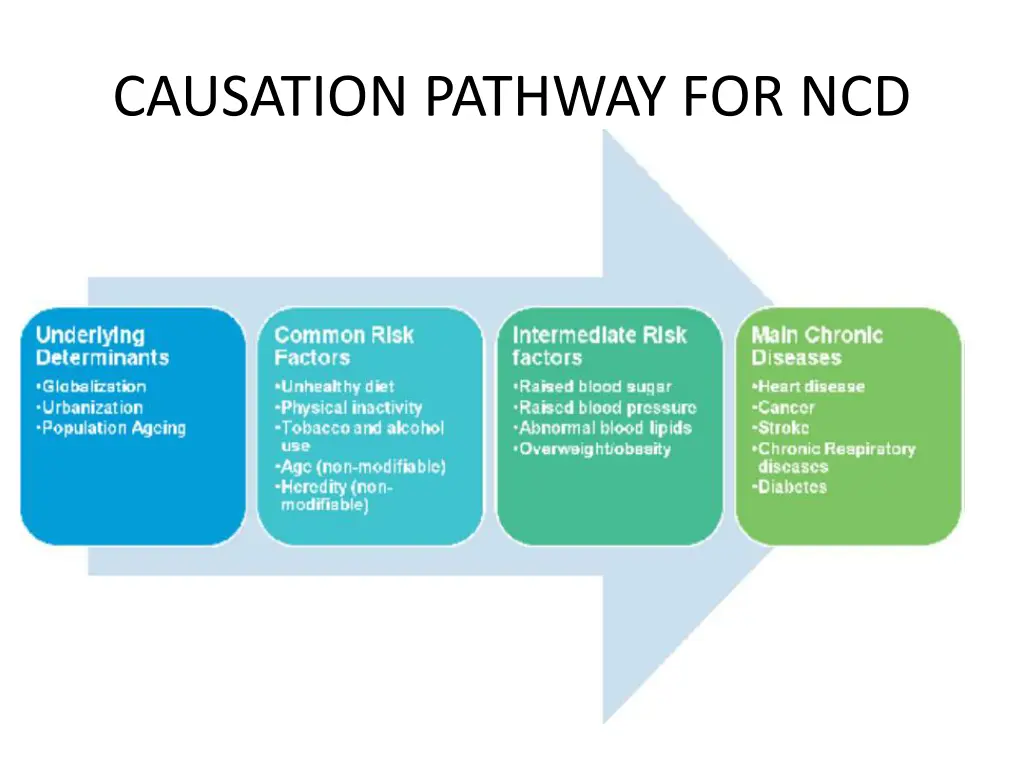 causation pathway for ncd