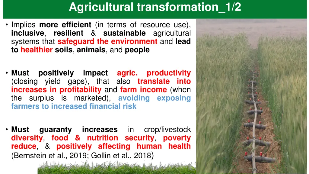 agricultural transformation 1 2