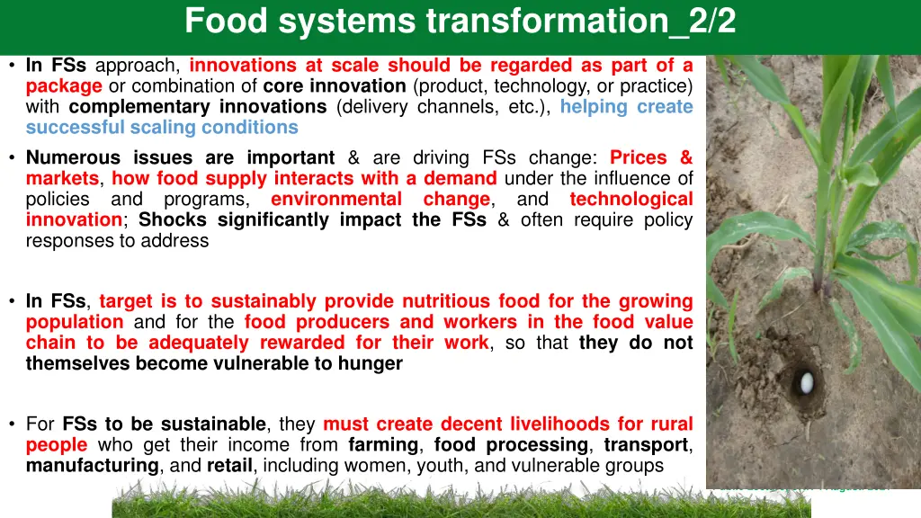 food systems transformation 2 2