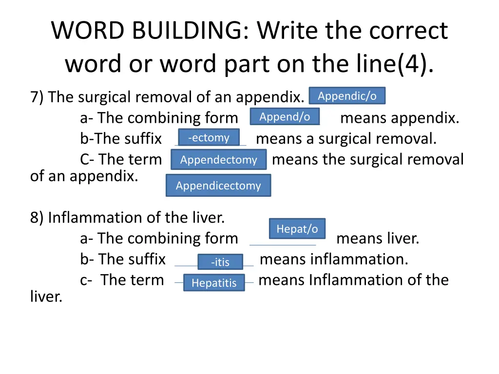 word building write the correct word or word part 3