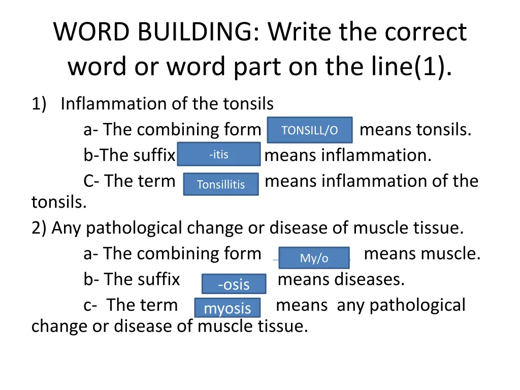 word building write the correct word or word part